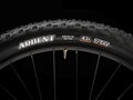 Trek Marlin 7 Gen 3 2025 Copper Bike
