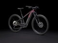 Trek Powerfly+ 6 Gen 5 2025 electric bike black burgundy