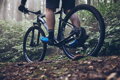 SHIMANO Sneakers SHXC502 blue / Size: 42