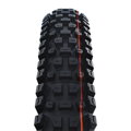 SCHWALBE Tire ALBERT GRAVITY PRO (63-622) 29x2.50 Evolution 67EPI Radial 1330g Black TLR Soft