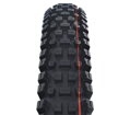 SCHWALBE Tire ALBERT TRAIL PRO (63-584) 27.5x2.50 Evolution 67EPI Radial 1110g Black TLR Soft