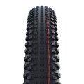SCHWALBE Tire RICK XC PRO (62-622) 29x2.40 Evolution 67EPI 760g Transparent TLR Speed