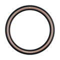 SCHWALBE Tire RICK XC PRO (62-622) 29x2.40 Evolution 67EPI 760g Transparent TLR Speed