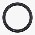 SCHWALBE Tire RICK XC PRO (57-622) 29x2.25 Evolution 67EPI 680g Black TLR SpeedGrip