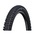 SCHWALBE Tire ALBERT TRAIL PRO (63-622) 29x2.50 Evolution 67EPI Radial 1180g Black TLR Ultra Soft