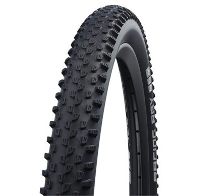 SCHWALBE Tire RACING RAY (60-622) 29x2.35 Performance 67EPI 830g Black TLR