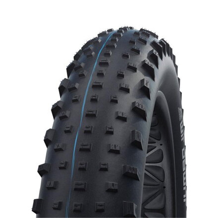 SCHWALBE Tire JUMBO JIM (120-559) 26x4.80 Evolution 67EPI 1290g Black TLE SpeedGrip
