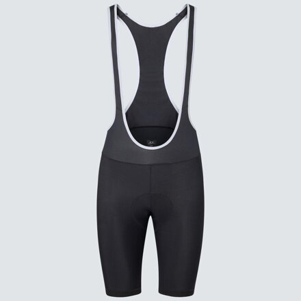 Oakley Icon Classic Bib pants black