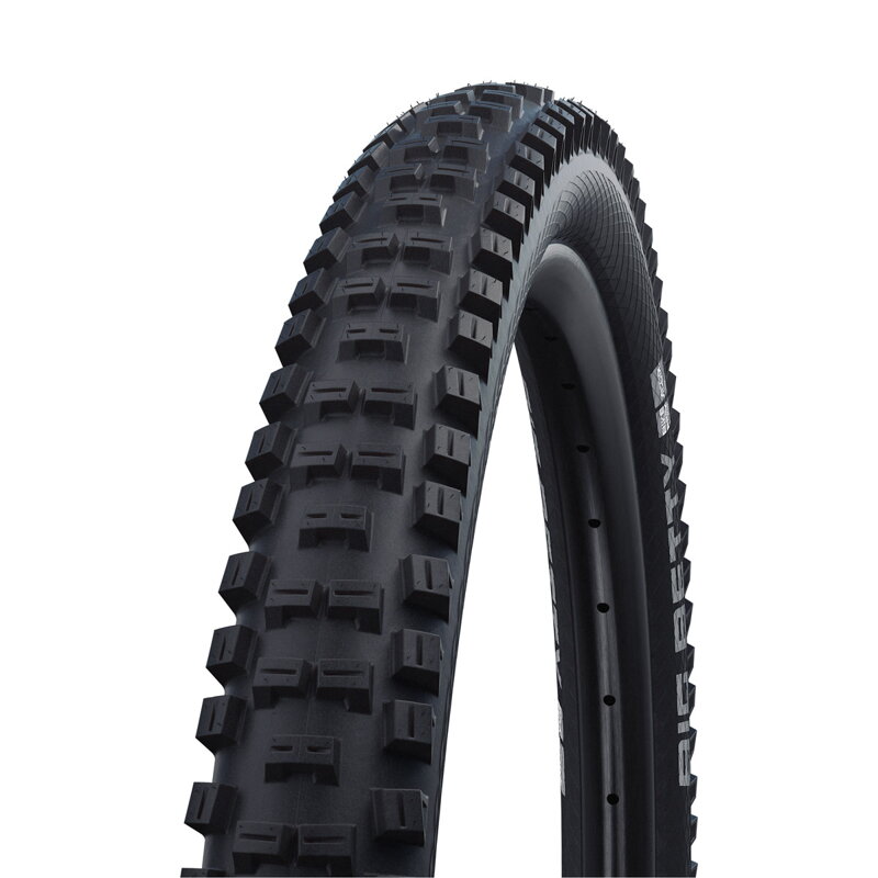 SCHWALBE Tire BIG BETTY Performance 26x2.40 SCHWALBE Tire BIG BETTY Performance 26x2.40