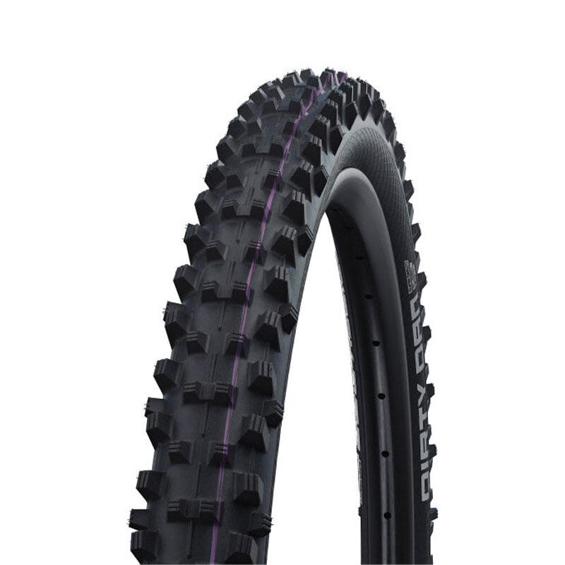 SCHWALBE Tire DIRTY DAN 29x2.35