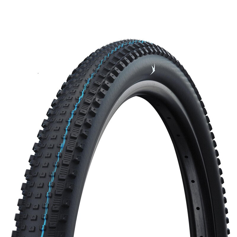 SCHWALBE Tire RICK XC PRO (57-622) 29x2.25 Evolution 67EPI 680g Black TLR SpeedGrip